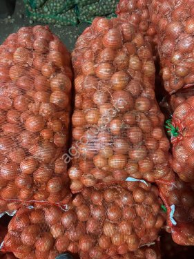 Лук репчатый(крупный) калибр 7-10см
