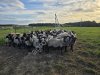 Комплексное зоотехническое и ветеринарное сопровождение ферм