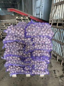 Картофель в Чебоксарах сорт Гала