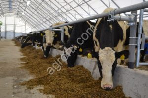 Животноводческого комплекса, юг МО