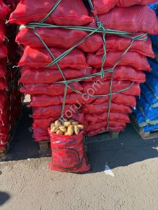 Картофель Египет сорт Спунта оптом