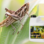 Нодикс Инсектобакт (биоинсектофунгицид)