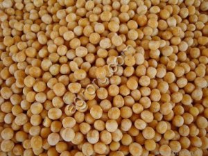 Горчица белая Семеновская (РС1)