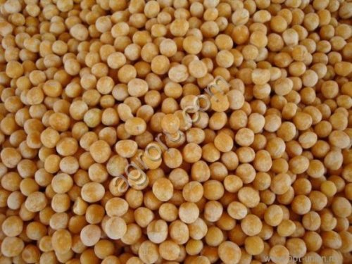 Горчица белая Семеновская (РС1)
