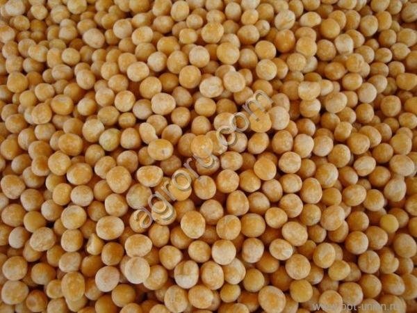 Горчица белая Семеновская (РС1)