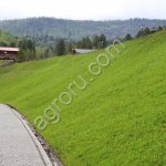 Семена газонных трав (смеси) для укрепления откосов