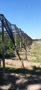 Столб деревянный