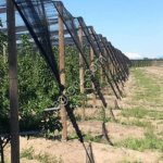 Столб деревянный