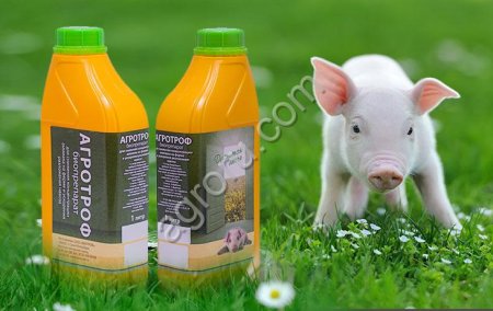 Агротроф - биопрепарат для ускорения разложения навоза / помета, снижения аммиака