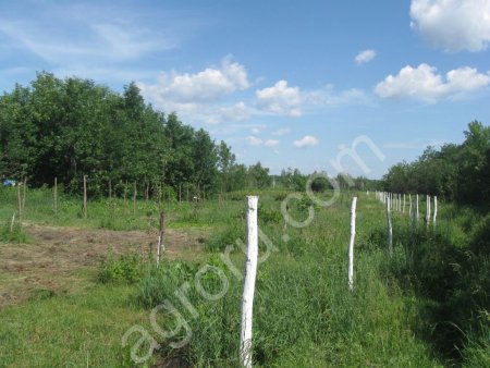 земля сельскохозяйственного назначения