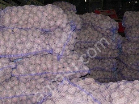 Картофель продовольственный оптом