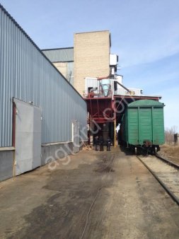 Завод по производству растительного масла