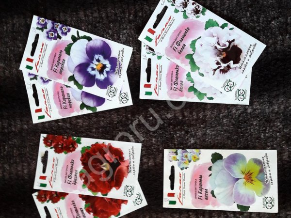 Семена виола