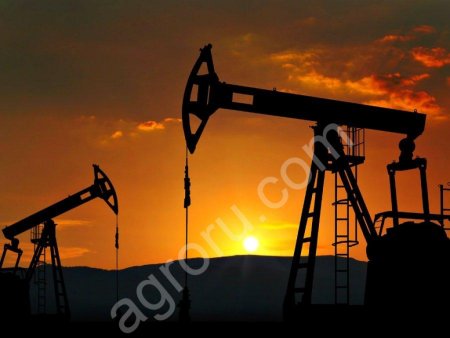 Дизельное топливо, Масла