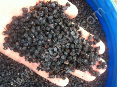 Сухая черника