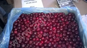 Замороженные ягоды/грибы/овощи