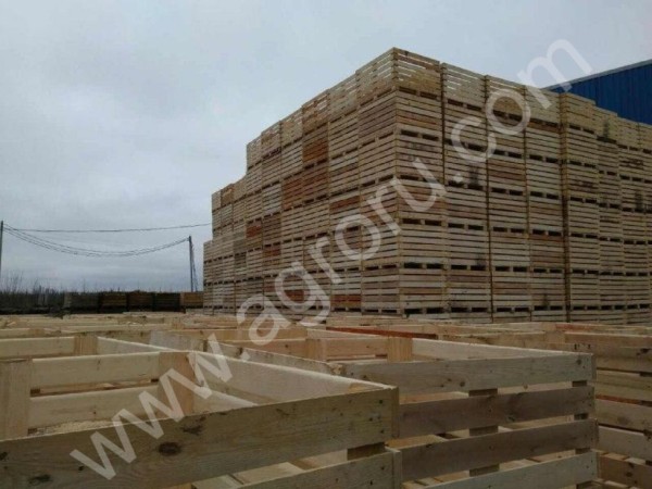 деревянные контейнеры для плодоовощной продукции