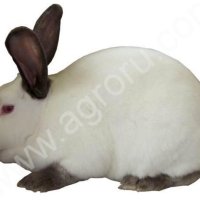 Комбикорм для кроликов