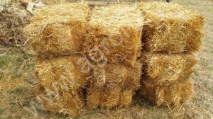 Солома пшеницы в тюках (брикетах).