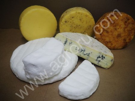 молочная продукция, масло, сыр