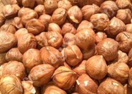 фундук урожай 2015г.