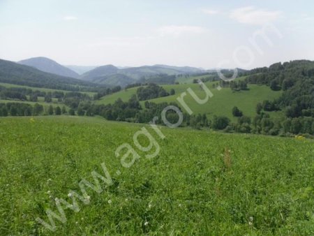 СЕНО. Разнотравье 2017 года