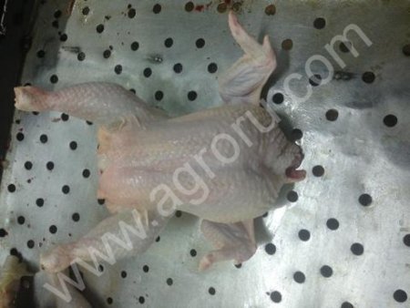 Суповые куры 2,6-3,5 кг.