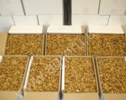 Грецкие орехи