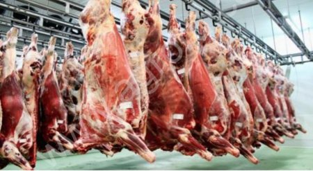 Говядина полутуши 1,2 кат. от производителя