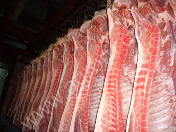 Мясо свинины в тушках оптом