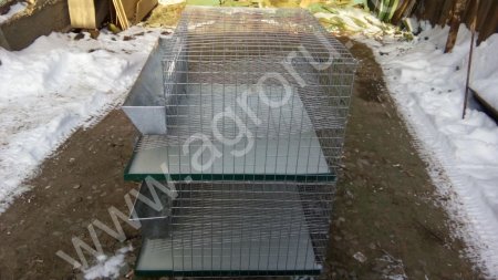 Клетка на 40 голов перепелов