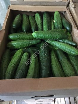 Почем овощи