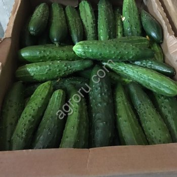 Почем овощи