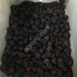 Ежевика замороженная