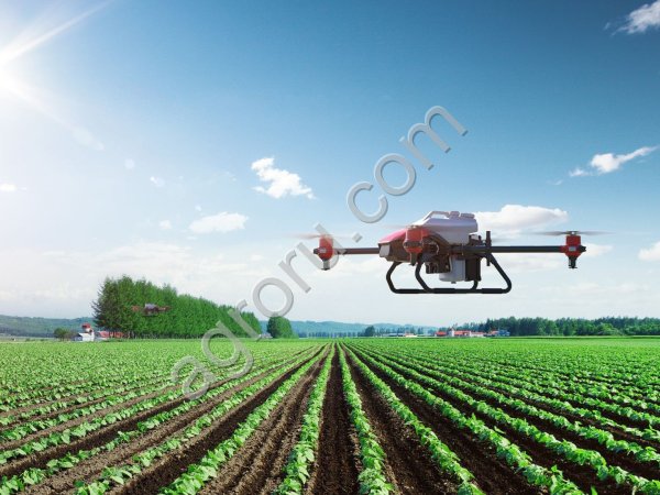 Обработка полей дронами.