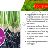 Протравители фунгицидные