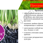 Протравители фунгицидные