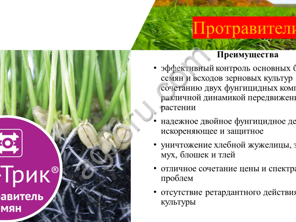 Протравители фунгицидные