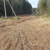 Вырубка, выкорчёвка, переработка в щепу деревьев и корней