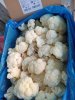 Капуста цветная замороженная