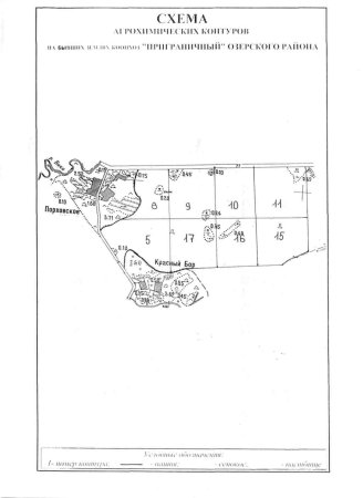 Зеленый патруль