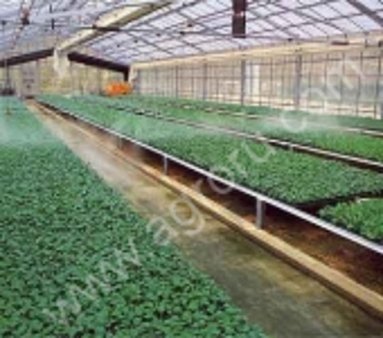 55% действующих теплиц в России сосредоточено в Центральном и Приволжском Федеральных округах