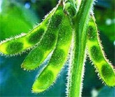 И корабль плывет...