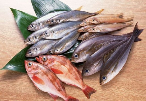 Покупки рыбы без ветеринарных документов опасны для здоровья