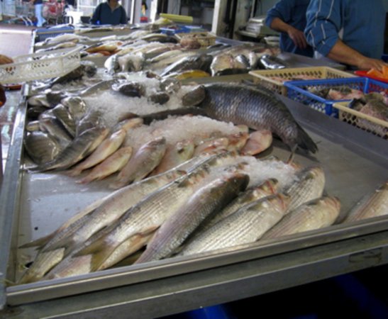 Шотландия: Стоимость «белой рыбы» на местном рынке растет