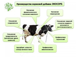 Кормовая добавка адсорбент микотоксинов ЭКОСОРБ