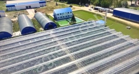 Теплицы зимние с КОТЕЛЬНОЙ газ