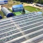 Теплицы зимние с КОТЕЛЬНОЙ газ