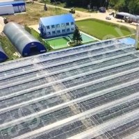 Теплицы зимние с КОТЕЛЬНОЙ газ