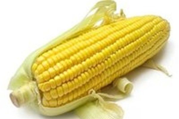 Иран объявил тендер по закупке кукурузы и соевого шрота